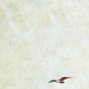 性偷窥老女人俱乐部
